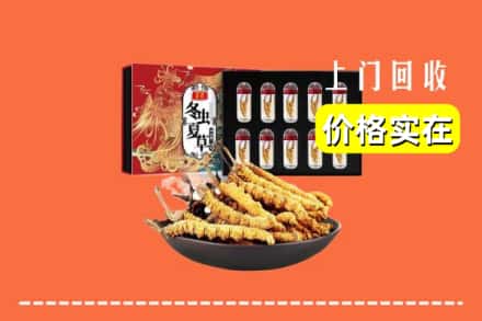 曲江区回收冬虫夏草